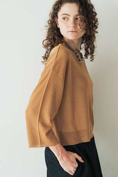 Lame Sheer Pullover