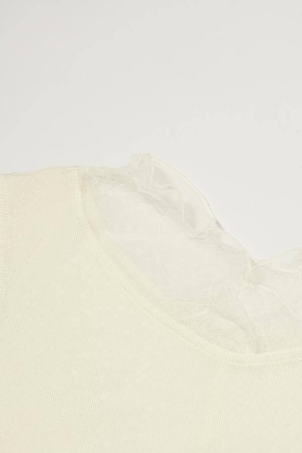 Sheer French Tank